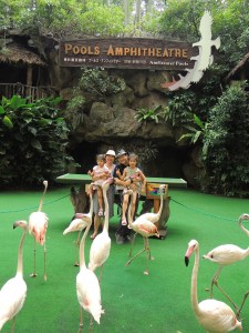 High Flyer Show of Jorong Bird Park in Singapore